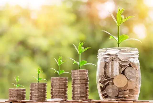 Comment Maximiser vos Économies Pendant les Promotions Soldes
